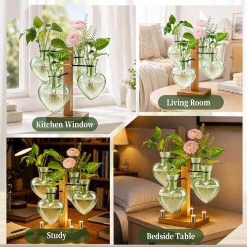 Plant Terrarium Propagation Station with 4 Heart Glass Vases - Green - Image 6