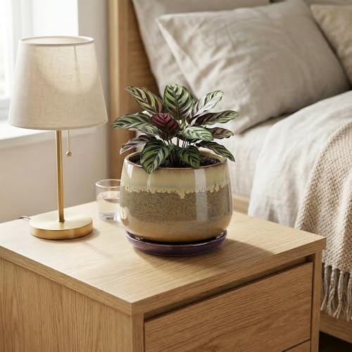 6 Inch Plant Pot - Ceramic Pots for Indoor Plants, Round Small Succulent Planter with Drainage and Saucer, Decorative Flower Pot, Office Room Decor, Gifts for Plant Lovers, Brown-Beige - Image 6