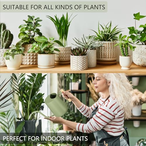 Watering Can Indoor Plants, 35oz Small Indoor Stainless Steel Metal Watering Can Modern Decorative Watering Pot with Long Spout for Indoor House Plant Bonsai Garden Flowers (Sage Green) - Image 4