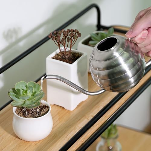 Plant Watering Bottle, 400ml/14oz, Retro Style Watering Can, Matte, Frosted (Silver) - Image 4