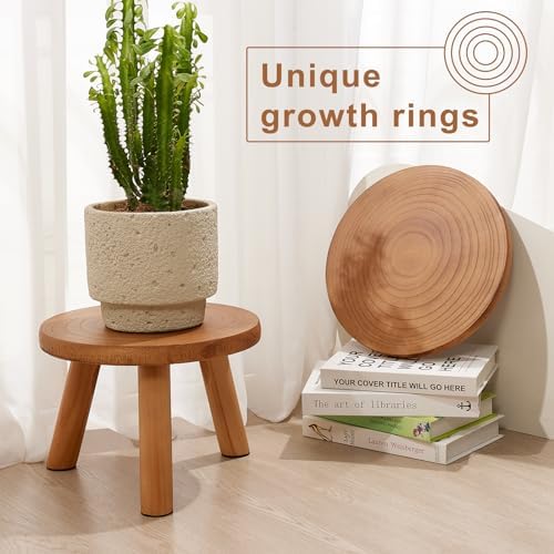2 Pcs Plant Stand Indoor,11-12" Wood Plant Stand Holder with Growth Ring - Image 3