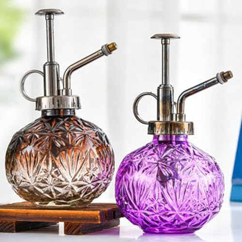 Spray Bottle for Plants, Plant Mister Spray Bottle, Glass Plant Mister Spray Bottle, Embossed Vintage Glass Watering Can, Succulent Watering Bottle with Top Pump for Outdoor (KK) - Image 7