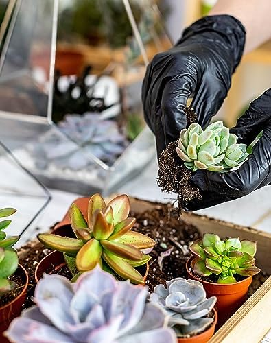 Melphoe 25Pcs Mini Garden Hand Transplanting Succulent Tools Set, 39.4" Thickened Repotting Mat & Plant Tag, Miniature Planting Indoor Fairy Care, Potting, Cactus, Houseplant Bonsai Tool Kit (Pink) - Image 3