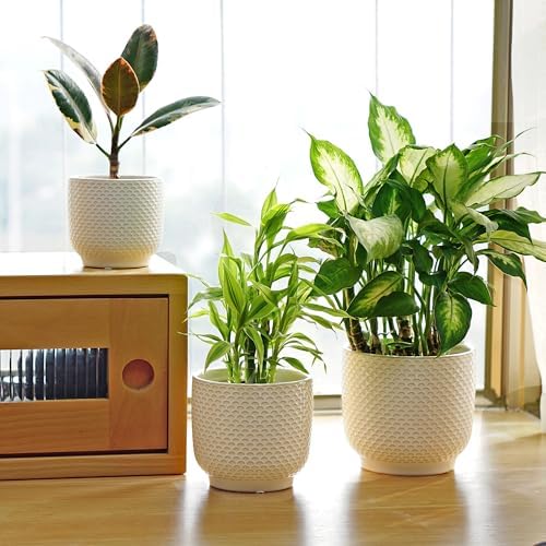 4 + 5 + 6 Inch Ceramic Pots for Indoor Plants, Succulents Plant Pots, Orchid Flower Pot with Drainage Hole, Modern Clay Stoneware Planters, Set of 3 (Milk White, 4+5+6 Inch) - Image 6