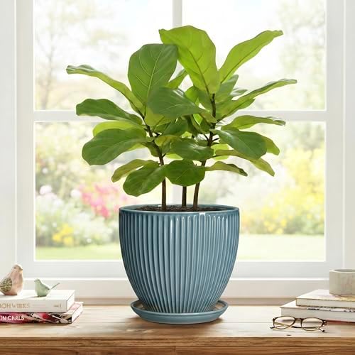 Ceramic Planter, 8 Inch Plant Pot Indoor with Drainage Hole and Saucer, Decorative Planters for Indoor Plants, Modern Flower Pots, Round Planter, Room Decor, Gifts for Plant Lovers, Glaze Blue - Image 7