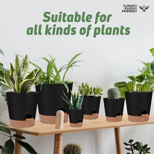 YNNICO Indoor Self Watering Planters with Drainage Holes and Saucers, 8, 7, 6.5, 6, 5.5, 5 Inches, Black, 6 Pots (Pack of 2) - Image 7