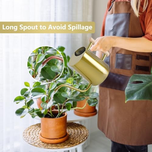 Watering Can Indoor Plants, 35oz Small Stainless Steel Metal Watering Can Modern Decorative Watering Pot with Long Spout for Indoor House Plant Bonsai Garden Flowers (Gold) - Image 2