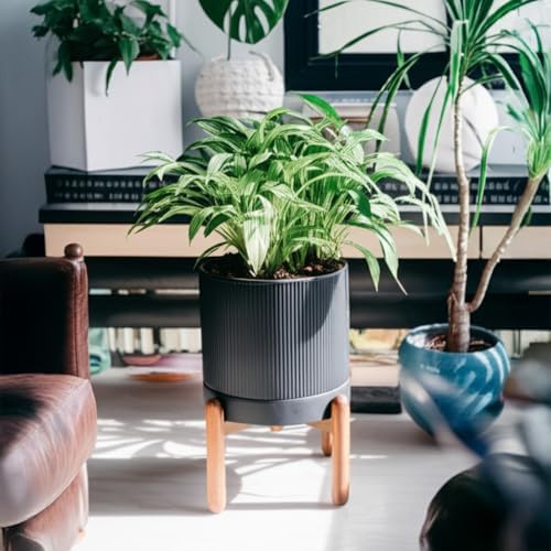 HERDUK 8 Inch Ceramic Planter with Natural Wood Stand w/Drainage & Saucer - Modern Indoor Planter for Cacti, Snake Plants & Aloe Vera Black - Image 4