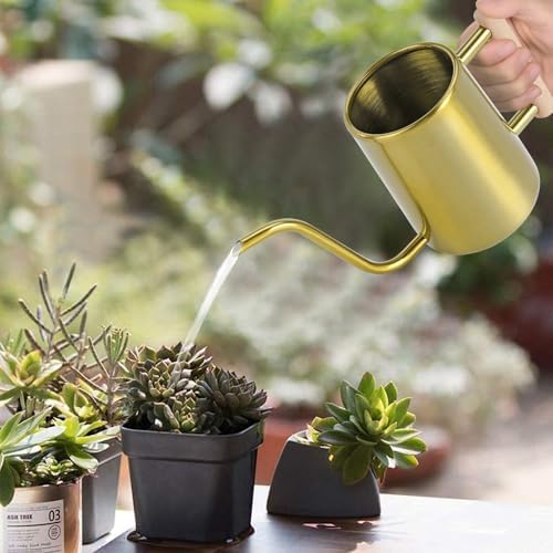 Watering Can Indoor Plants, 35 oz/1000 ml Metal Stainless Steel Watering Can Pot with Long Spout for Indoor House Plants Bonsai Outdoor Garden Flower Decorative (Gold) - Image 2