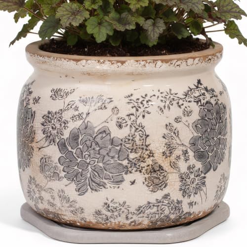 Rustic Ceramic Plant Pot with Decorative Saucer, Gifts for Plant Lovers by XiaanJiaju
