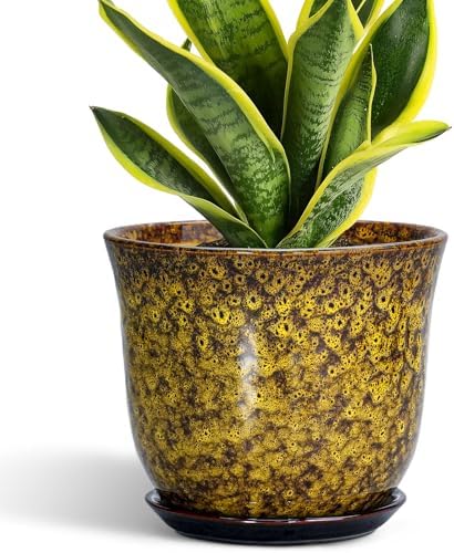 Ceramic Planter, 8 Inch Plant Pot for Indoor Plants, Yellow by SUNPOTFOR