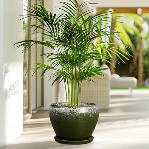 Ceramicfor 8 Inch Plant Pot - Ceramic Planter with Drainage, Dark Green - Image 4