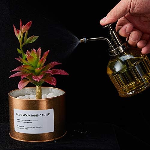Glass Plant Mister Spray Bottle for Indoor Plants, Vintage Style Yellow - Image 4