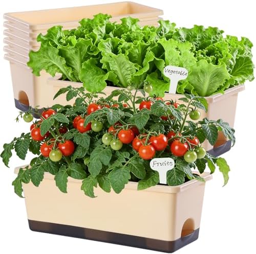 Oliz Window Box Planter 8 Pcs, 17 Inches Rectangle Flower Pots with Drainage Holes & Trays, Vegetable Planters for Windowsill Patio Garden Balcony Home Indoor Outdoor (Barley Yellow, 16 * 7 * 6 inch) by Oliz