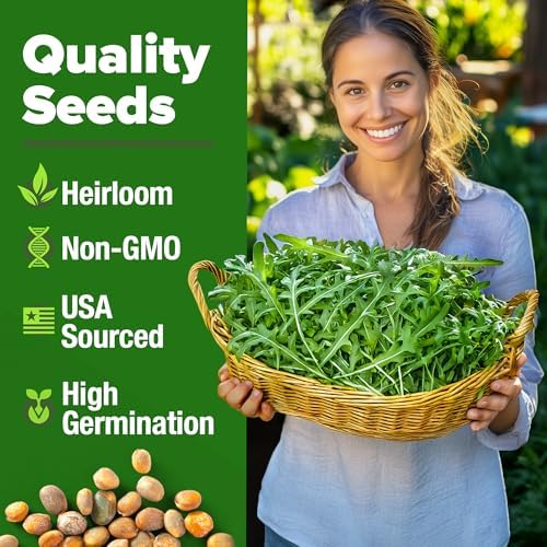 HOME GROWN Arugula Roquette Seeds, 2,175+ Seeds, Eruca vesicaria - Image 2