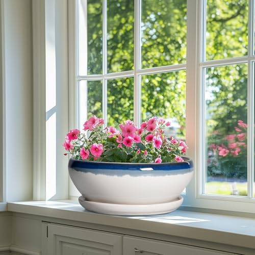 SQOWL Bonsai Tree Pots - 12 Inch Ceramic Succulent Planters, Large Bonsai Pot with Drainage Hole and Tray, Shallow Planter Indoor, Bowl Round Planter, Home Decor, Plant Lover Gift, Blue Off-White - Image 6