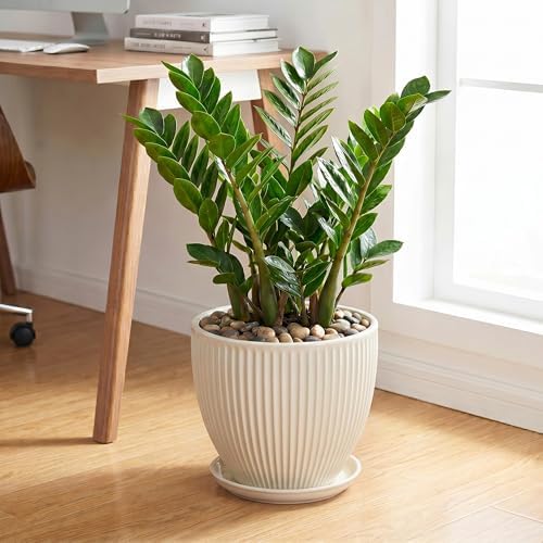 Ceramic Plant Pots, 10 Inch Pots for Plants with Drainage Hole and Saucer, Round Flower Pot for Indoor Plants, Decorative Indoor Planter, House Porch Decor, House Warming Gifts, Cream White - Image 3
