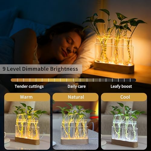 Plant Propagation Station with LED Grow Light, Wooden Stand & 4 Glass Tubes - Image 2