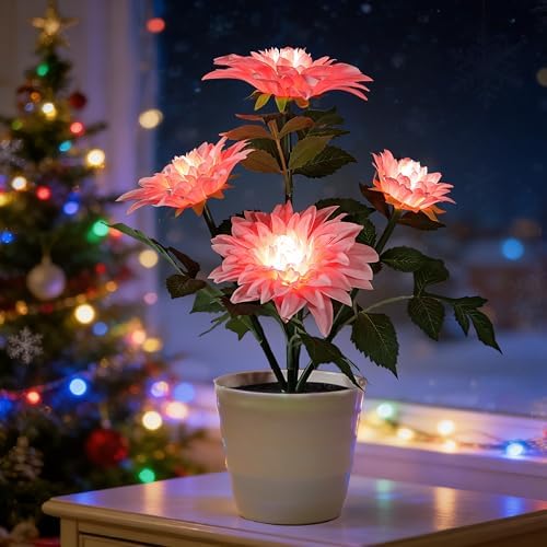 Artificial Pink Dahlia Flower Lamp Light for Bedroom Bar Coffee Shop Wedding Decor, Gifts for Women Mom Daughter Grandma Aunt Girlfriend Coworker Friend Birthday Christmas Valentines Mothers Day by Hibeauti
