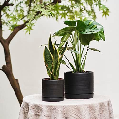 HERDUK 6 + 8 Inch Plant Pots, Ceramic Planter Pot with Drainage Hole & Saucer, Indoor/Outdoor Cylinder Round Planter Pot, Matte Black - Image 5