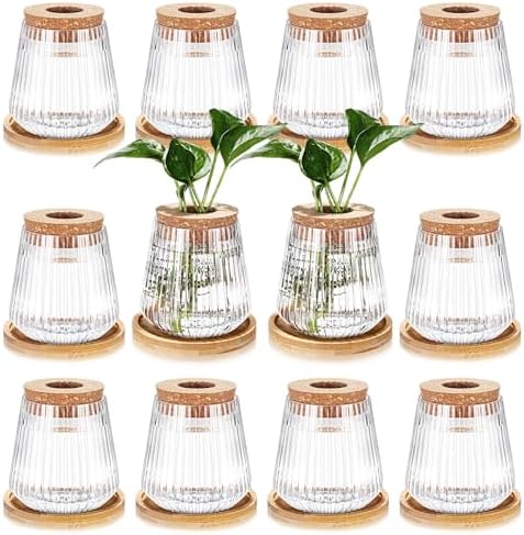 Baderke 12 Pack Propagation Vases for Plants, Vertical Grain Style by Baderke