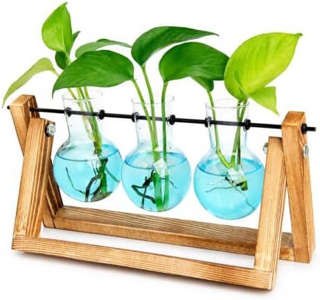 XXXFLOWER Plant Terrarium Kit with Wooden Stand 3 Gradient Blue Bulb Vases by XXXFLOWER