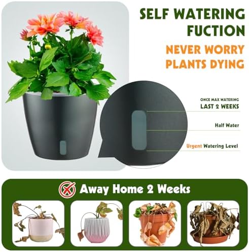 Self Watering Pots for Indoor Plants, 6-Pack 5'' Self Watering Planter with Drainage Holes, Small African Violet Pots with Water Indicator, Clear Wick Orchid Pot, Grey - Image 3