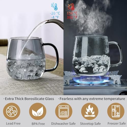 Glass Tea Cup with Infuser and Lid, 17.6oz/520ml Large Borosilicate Teacup, Clear Mug for Loose Leaf Tea, Blooming Tea, Tea Bags - Perfect Christmas or Birthday Gift for Men. - Image 5