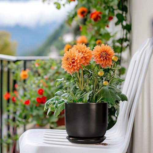 Ceramic Pot for Plants 5 Inch - Modern Round Indoor Planter for Cactus Succulent Plants with Drainage Hole and Saucer, Home Room House Office Decor, Black - Image 7