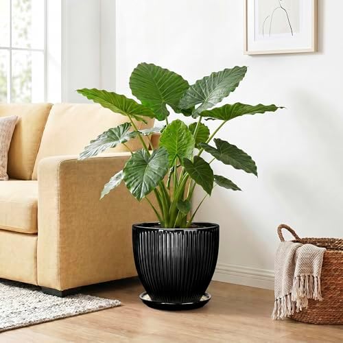 10 Inch Planter, Ceramic Plant Pots with Drainage Hole and Saucer, Large Decorative Planters for Indoor Plants, Modern Plant Pot, Round Flower Pot, House Bedroom Decor, Black - Image 4
