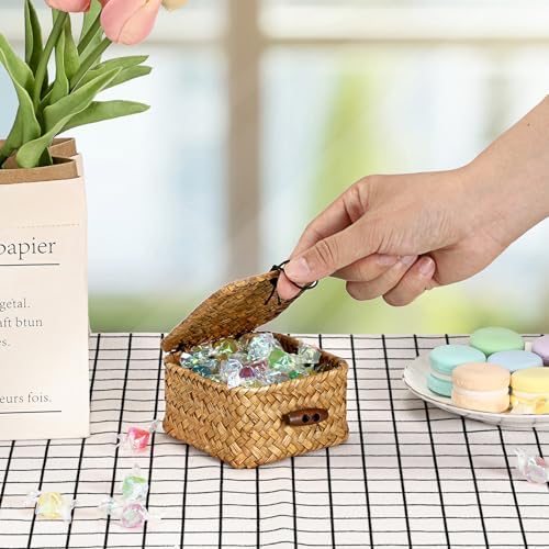 Hipiwe Handwoven Wicker Basket Box with Lid Small Seagrass Desk Organizer - Image 7