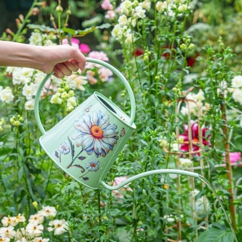 2L Long Spout Watering Can, Stainless Steel (Bellis Perennis) - Image 6