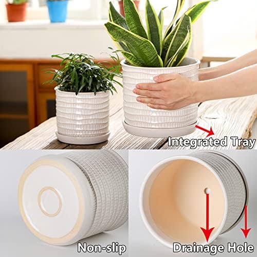 8 Inch Ceramic Planter with Drainage Hole & Bonded Saucer - Image 3
