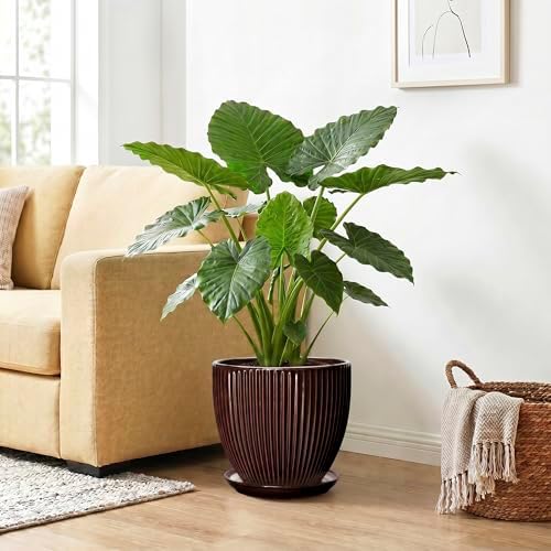Ceramic Pots for Plants 10 Inch, Indoor Planter with Drainage Hole and Saucer, Large Round Decorative Ceramic Plant Pots, Modern Flower Planter, Patio Room Decor, Gifts for Plant Lovers, Brown - Image 4