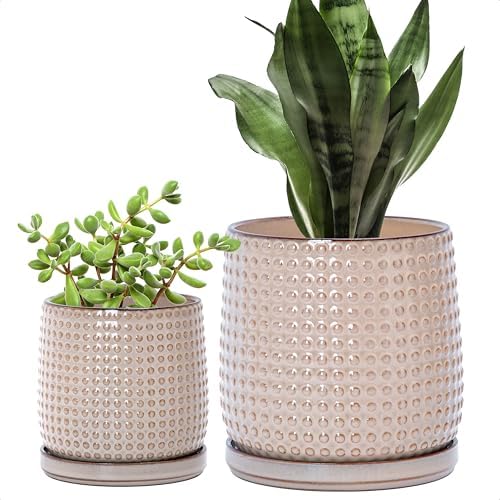 D'vine Dev Beaded Ceramic Planter Pots, 4/6 in, Light Brown, 27-D-U-4 by DvineDevPlanterPotsandStand