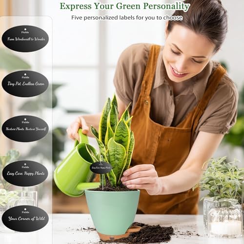 6 Inch Small Plant Pots for Indoor Outdoor Plants, 5-Pack, Self Watering - Image 3