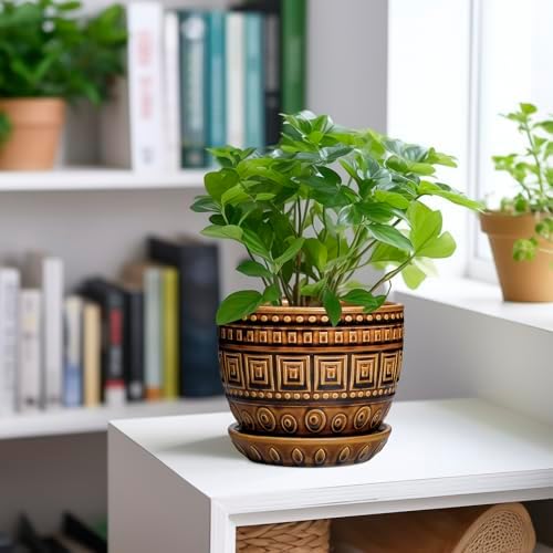 G EPGardening Succulent Pot 5.5 Inch - Ceramic Plant Pot for Indoor Plants Outdoor, Round Boho Planter with Drainage Hole and Saucer, Gifts for Plant Lovers, Office Home Garden Decor, Brown - Image 2