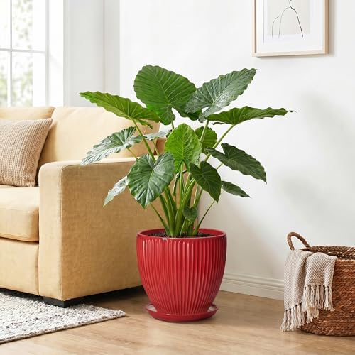 10 Inch Plant Pot, Ceramic Planters for Indoor Plants, Decorative Plant Pots with Drainage Hole and Saucer, Modern Round Large Planter, Office Apartment Decor, House Warming Gifts, Red - Image 4
