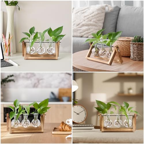 YIBOT Plant Propagation Stations with Wooden Stand & 3 Glass Bulb Vases - Image 7