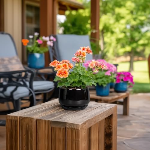 G EPGardening Small Ceramic Planter - 4 Inch Succulent Pots with Drainage Hole & Sacuer, Flower Pots for Indoor Outdoor Plants, Modern Decorative Round Planter, Room Decor, House Warming Gifts, Black - Image 4