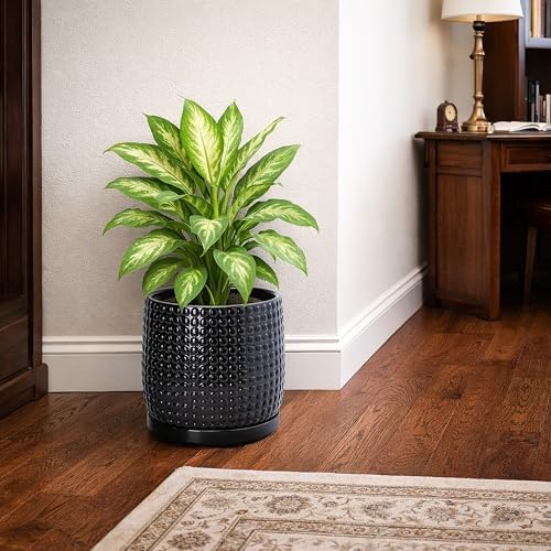 D'vine Dev Beaded Ceramic Pot with Saucer, 8 in, Glossy Black, 27-C-Q-2 - Image 2