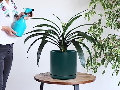 D'vine Dev 2-Pack Ceramic Pots with Saucers, Teal, 8 in, 94-V-D-9 - Image 2