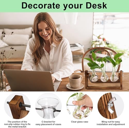 YIBOT Propagation Stations,Plant Terrarium with Wooden Stand-3 Glass Vases - Image 6