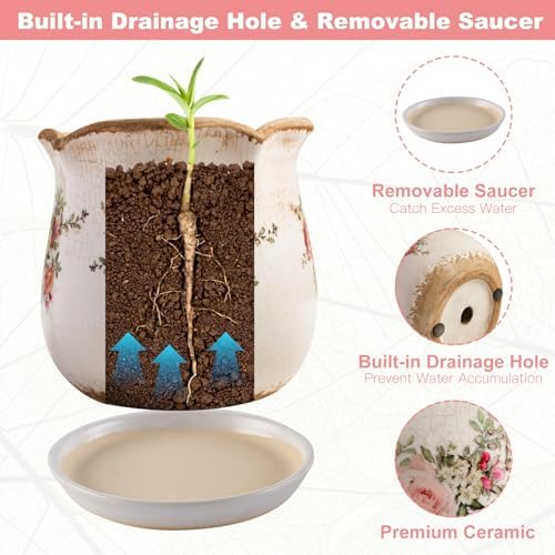 Ceramic-Planters-for-Indoor-Plants with Saucer, 6 inch Vintage Ice Crackle Glaze Plant Pots with Drainage Holes, Decorative Flower Pots for Outdoor Garden Home Decor, Tuscan Pot for Plant - Image 5