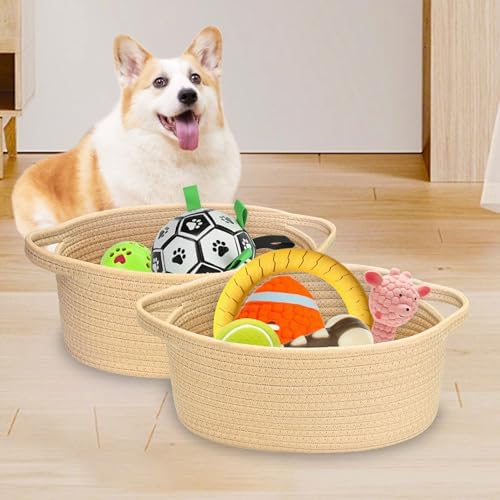 ABenkle Small Basket with Handles, Boho Decorative Rope Woven Dog Cat Toy Storage Bin Shelf Storage Organizer, Easter Christmas Gift Basket, 12"x8"x5" - Image 3