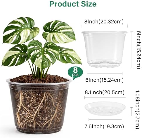 Bluepro Clear Nursery Pots with Saucers, 8 Inch, 8-Pack - Image 2
