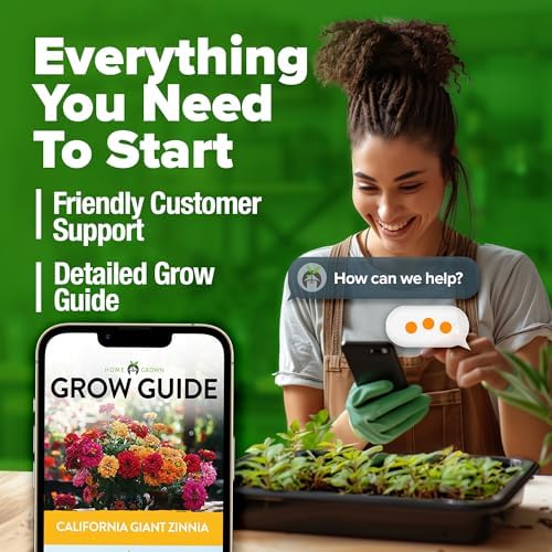 HOME GROWN Zinnia California Giant Seeds 2 oz, 7,300+ Seeds, Zinnia elegans - Image 6