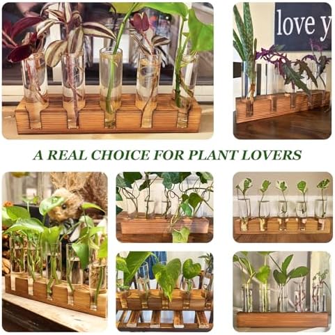 Renmxj Plant Propagation Station, Plant Terrarium with Wooden Stand - Image 5