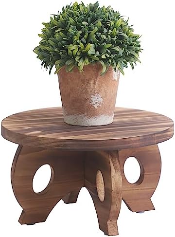 Small Wooden Plant Stand Indoor, 10-Inch Round Pine Wood Plant Riser and Display Pedestal for Tabletop, Countertop and Home Decor, Brown by VZODESR