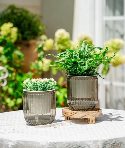 Melphoe Self Watering Pots for Indoor Plants Planter, 4.7 Inch 2 Pack Planters Self Watering Plant Pots for Flower, Houseplants, Succulent, African Violets and Cactus with Drainage - Image 2